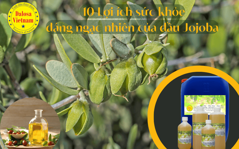 10-loi-ich-suc-khoe-cua-dau-jojoba-oil