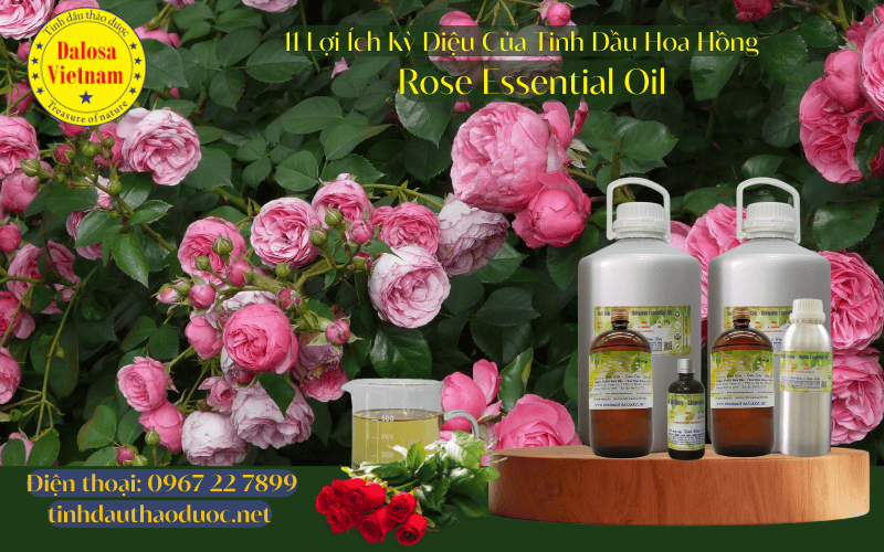 11-loi-ich-ky-dieu-cua-tinh-dau-hoa-hong-rose-essential-oil