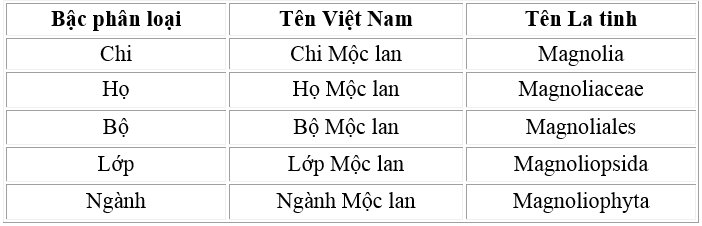 ten-thuc-vat-dalosa-vietnam-2