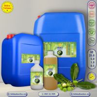 dau-mu-u-tamanu-oil-1-lit - ảnh nhỏ  1