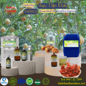 Tinh Dầu Nhục Đậu Khấu - Nutmeg Essential Oil 1 lít