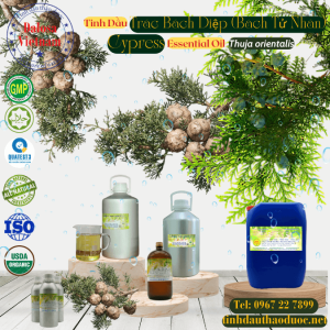 Tinh Dầu Trắc Bách Diệp - Cypress Essential Oil 1 lít