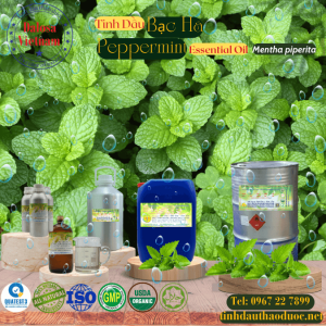 Tinh Dầu Bạc Hà - Peppermint Essential Oil 1 lít