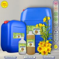 dau-hoa-anh-thao-evening-primrose-1-lit - ảnh nhỏ  1