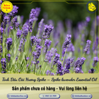 tinh-dau-oai-huong-spike-spike-lavender-essential-oil-1-lit - ảnh nhỏ  1