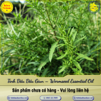 tinh-dau-dau-giun-wormseed-essential-oil-1-lit - ảnh nhỏ  1