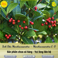 tinh-dau-mandravasarotra-saro-essential-oil-1-lit - ảnh nhỏ  1