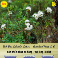 tinh-dau-labrador-ledum-greenland-moss-labrador-tea-ledum-essential-oil-1-lit - ảnh nhỏ  1