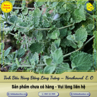 tinhdau-hung-dang-long-trang-horehound-hoarhound-essential-oil-1-lit - ảnh nhỏ  1