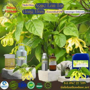Tinh Dầu Ngọc Lan Tây - Ylang Ylang Essential Oil 1 lít